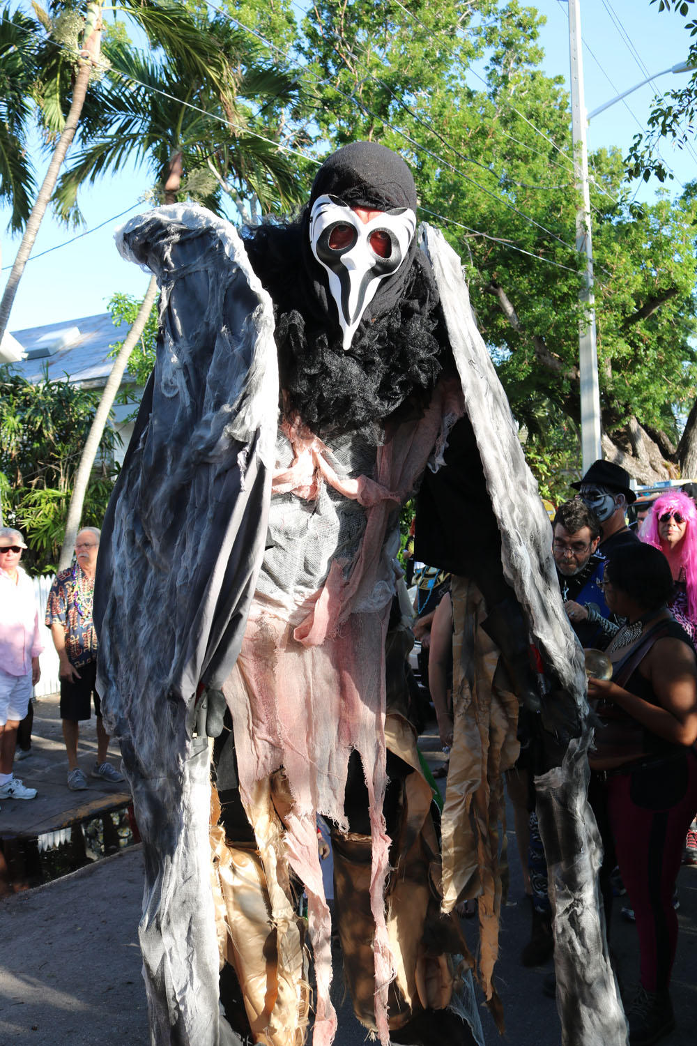 Masquerade March 2017 photo - Duval Street, Key West